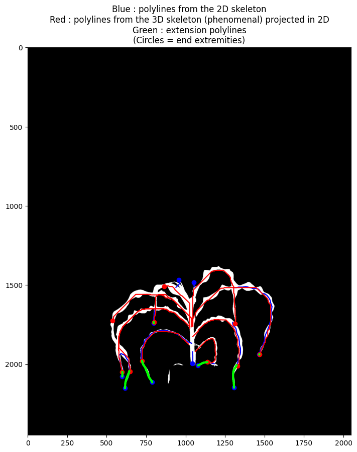 ../_images/examples_Leaf_extension_17_1.png