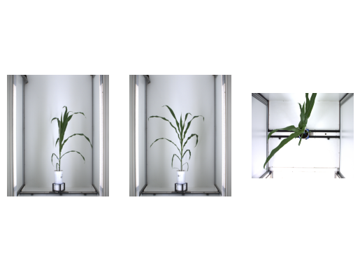 ../_images/examples_Binarization_5_0.png
