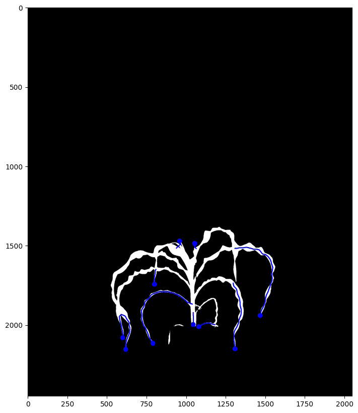 ../_images/examples_Leaf_extension_9_0.png